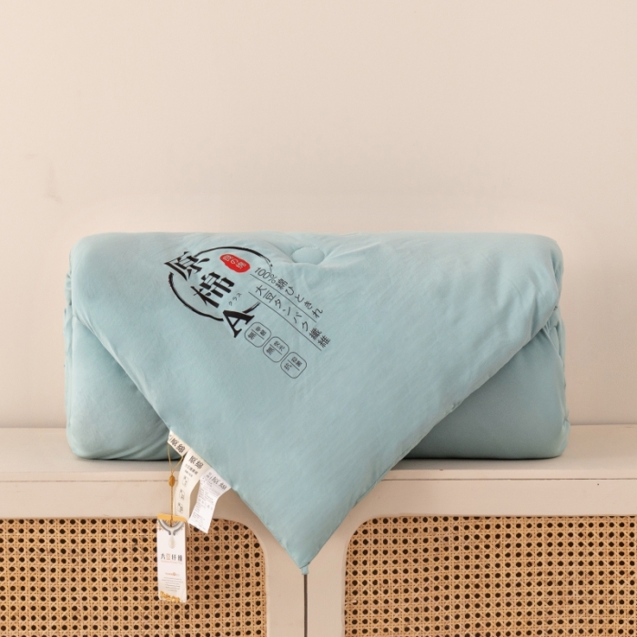 91家纺网 家纺一手货源 找家纺 盈超 2023新款原棉水洗棉大豆被被子被芯 湖蓝