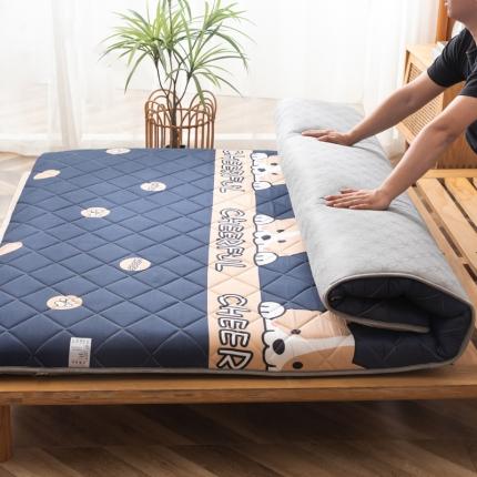 91家纺网 家纺一手货源 找家纺 （总）暖季 2025新款加厚磨毛防滑印花床垫直播供货