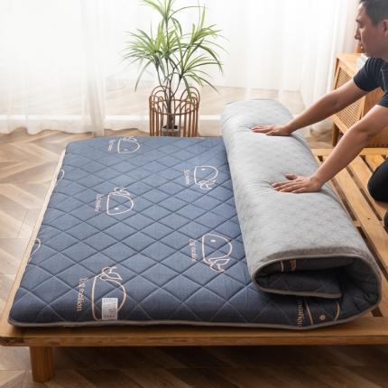 91家纺网 家纺一手货源 找家纺 （总）暖季 2025新款加厚磨毛防滑印花床垫直播供货