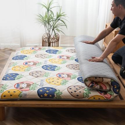 91家纺网 家纺一手货源 找家纺 暖季 2025新款加厚磨毛防滑印花床垫直播供货 草莓女孩