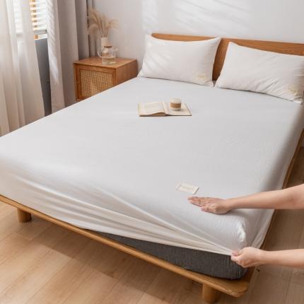 宝士康家纺2023新款无印风系列床笠三件套 本白