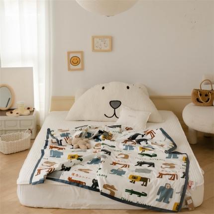 汇庭 2022新款60sA类长绒棉大豆夏被 卡丘