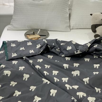 （总）汇庭 2021新款60sA类长绒棉大豆抗菌棉夏被