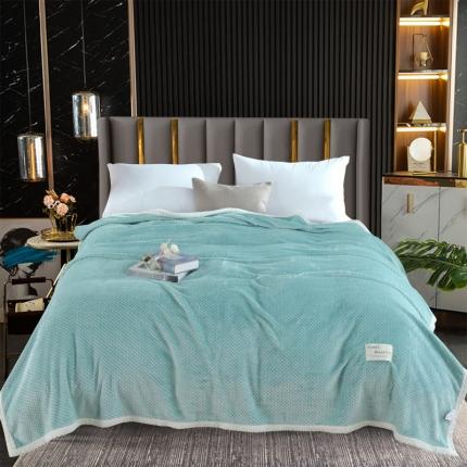 91家纺网 家纺一手货源 找家纺 （总）好艺佳2025爆款300克加厚秋冬华夫格毛毯绒毯床单盖毯