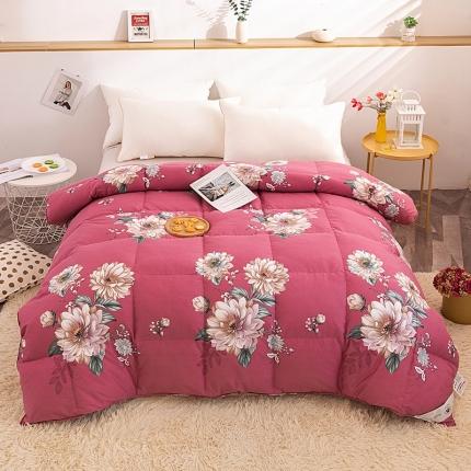 91家纺网 家纺一手货源 找家纺 （总）锦瑞羽绒 2022新款全棉印花双层羽绒被