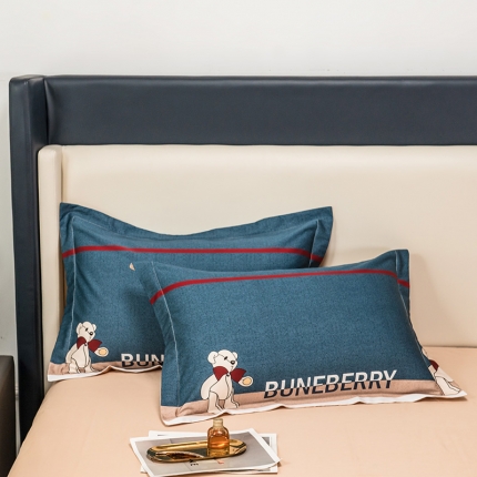 91家纺网 家纺一手货源 找家纺 2024品乐100支长绒棉数码印花枕套一对装