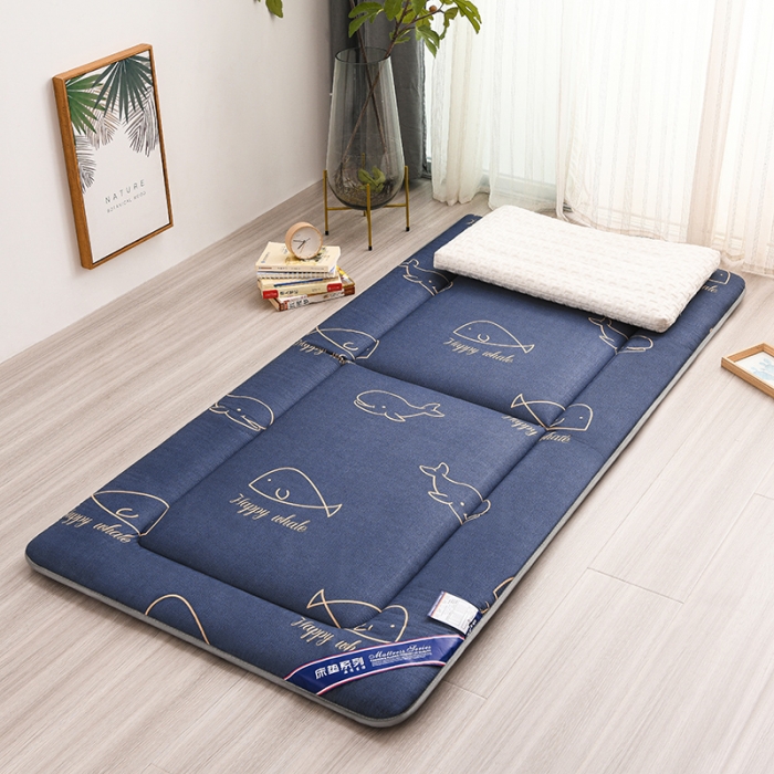 91家纺网 家纺一手货源 找家纺 （总）富威堡 2023新款磨毛抗压棉薄款学生宿舍床垫床褥