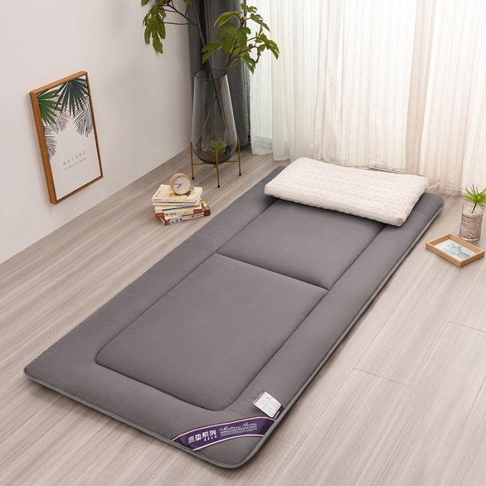 91家纺网 家纺一手货源 找家纺 富威堡 2023新款磨毛抗压棉薄款学生宿舍床垫床褥 经典灰