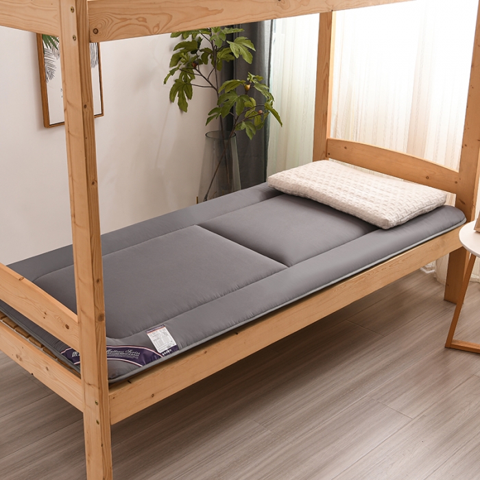 91家纺网 家纺一手货源 找家纺 富威堡 2023新款磨毛抗压棉薄款学生宿舍床垫床褥 经典灰