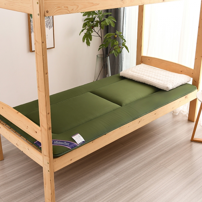 91家纺网 家纺一手货源 找家纺 富威堡 2023新款磨毛抗压棉薄款学生宿舍床垫床褥 经典绿