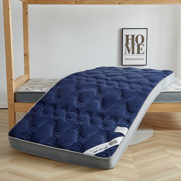 91家纺网 家纺一手货源 找家纺 优莱床垫 2024新款牛奶绒学生床垫 法莱绒蓝