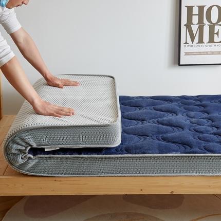 优莱床垫 2024新款牛奶绒学生床垫 法莱绒蓝