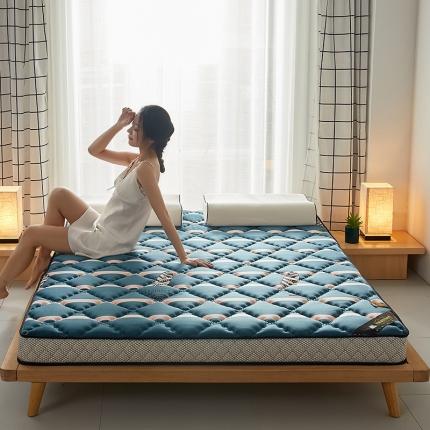 91家纺网 家纺一手货源 找家纺 优莱床垫 2024新款乳胶记忆棉床垫 水晶绒雨叶立体