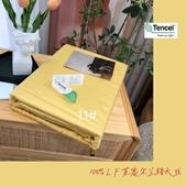 91家纺网 家纺一手货源 找家纺 （总）顾家家居 2023款60支兰精天丝纯色四件套