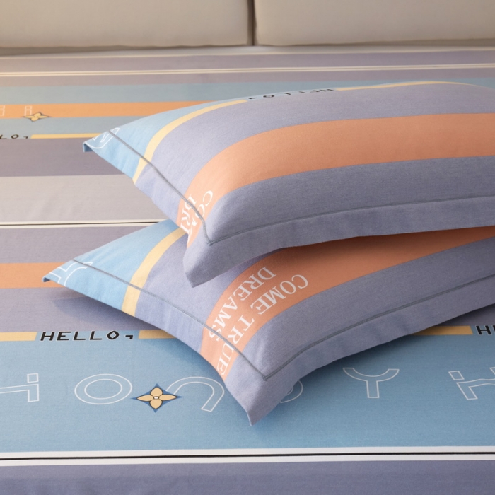 91家纺网 家纺一手货源 找家纺 金纱玉纺 2022新款全棉印花加厚磨毛四件套 乐天派-灰