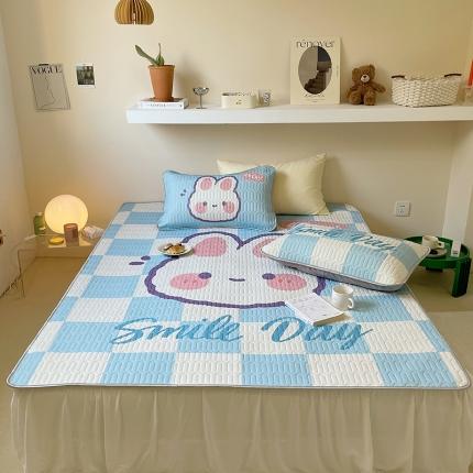 91家纺网 家纺一手货源 找家纺 （总）顾里家纺 2022新款韩系凉感印花大版软席