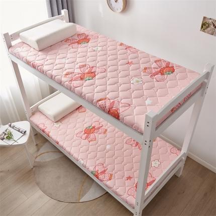 91家纺网 家纺一手货源 找家纺 (总) 寐珂 2025新款A类针织大豆学生床垫