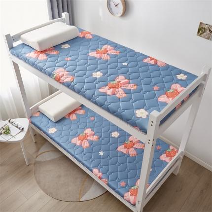 91家纺网 家纺一手货源 找家纺 (总) 寐珂 2025新款A类针织大豆学生床垫