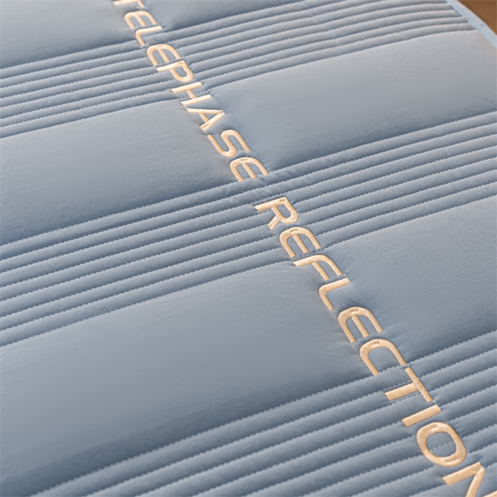 91家纺网 家纺一手货源 找家纺 蓝巢 2022新款升级版全棉大豆纤维夹棉床笠- 邂逅清雅蓝