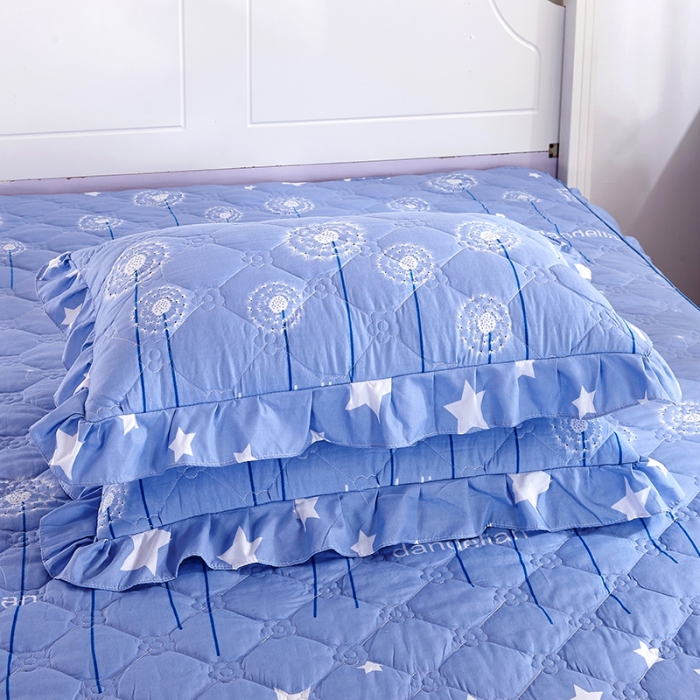 91家纺网 家纺一手货源 找家纺 美莱 2022新款夹棉加厚床裙单件床罩床裙防滑保护套 星光飘絮-兰