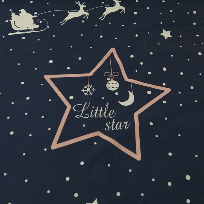 91家纺网 家纺一手货源 找家纺 美莱 2022新款夹棉加厚床裙单件床罩床裙防滑保护套 夜下星空