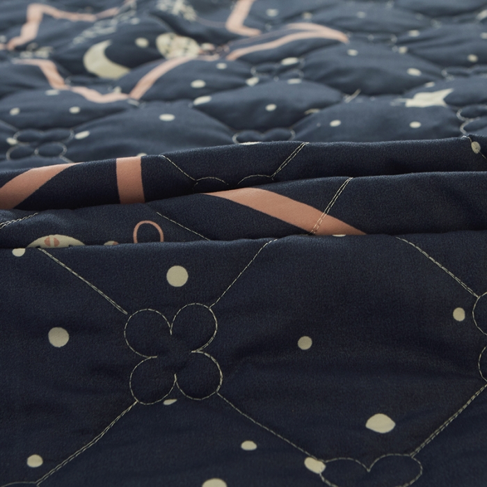 91家纺网 家纺一手货源 找家纺 美莱 2022新款夹棉加厚床裙单件床罩床裙防滑保护套 夜下星空