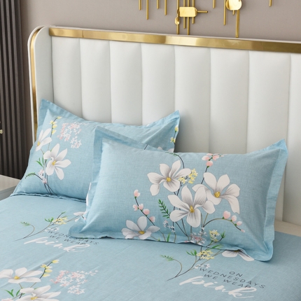 91家纺网 家纺一手货源 找家纺 启优2022新款128*68全棉印花斜纹单枕套一对装