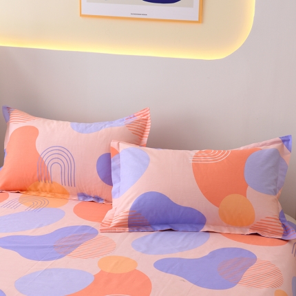 91家纺网 家纺一手货源 找家纺 启优2022新款128*68全棉印花斜纹单枕套一对装