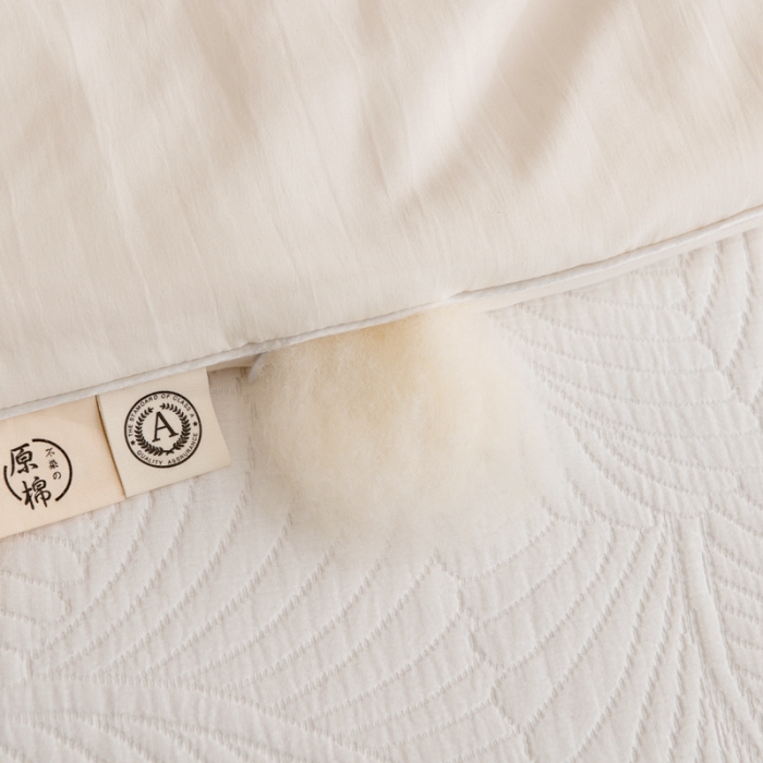 91家纺网 家纺一手货源 找家纺 （总）永耀2022新款原棉大豆被子冬被春秋夏凉被电商直播爆款