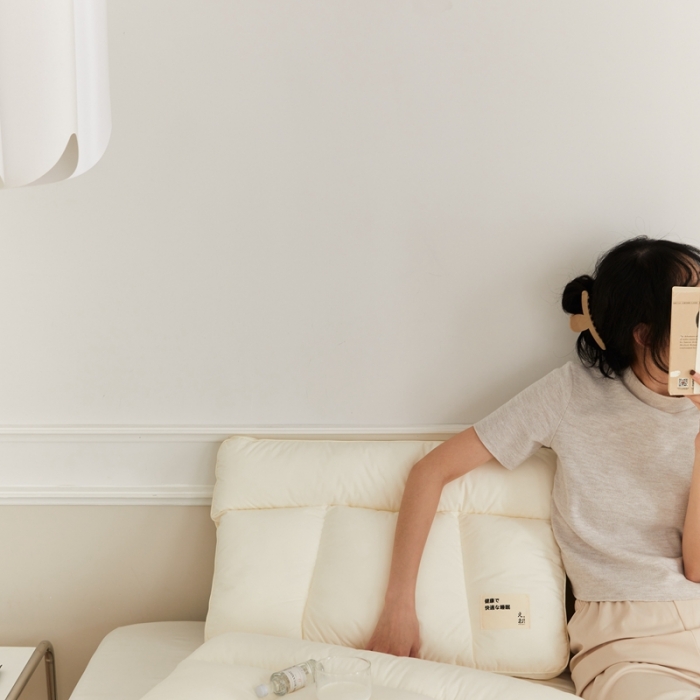 91家纺网 家纺一手货源 找家纺 （总）伟邦枕芯 2023新款40支全棉磨毛质原本色三分区枕