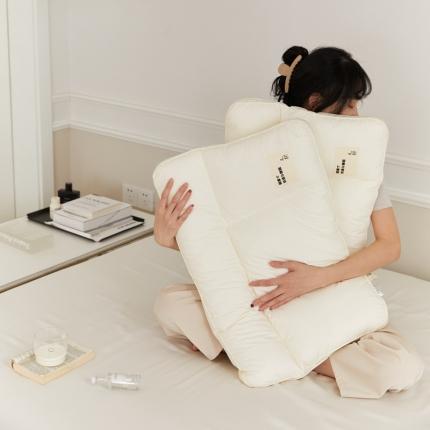 （总）伟邦枕芯 2023新款40支全棉磨毛质原本色三分区枕