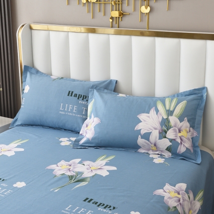 91家纺网 家纺一手货源 找家纺 启优2022新款128*68全棉印花斜纹单枕套一对装