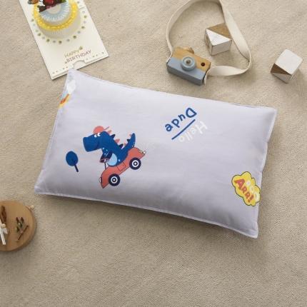 91家纺网 家纺一手货源 找家纺 （总）嗨生活 2022新款全棉儿童幼儿园枕套30*50cm