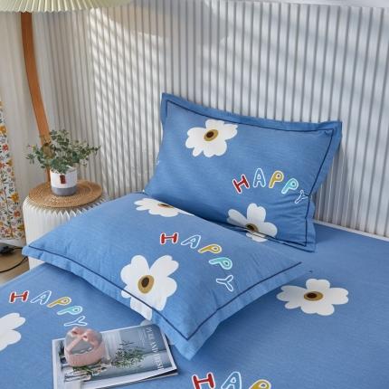 91家纺网 家纺一手货源 找家纺 （总）杜先生 2023新款全棉加厚喷气活性磨毛系列单枕套一对