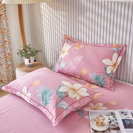 91家纺网 家纺一手货源 找家纺 （总）杜先生 2023新款全棉加厚喷气活性磨毛系列单枕套一对