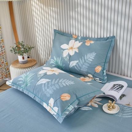 91家纺网 家纺一手货源 找家纺 （总）杜先生 2023新款全棉加厚喷气活性磨毛系列单枕套一对