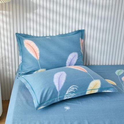 91家纺网 家纺一手货源 找家纺 （总）杜先生 2023新款全棉加厚喷气活性磨毛系列单枕套一对