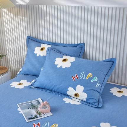 杜先生新款全棉加厚喷气活性磨毛系列单枕套一对浅浅花漾-蓝