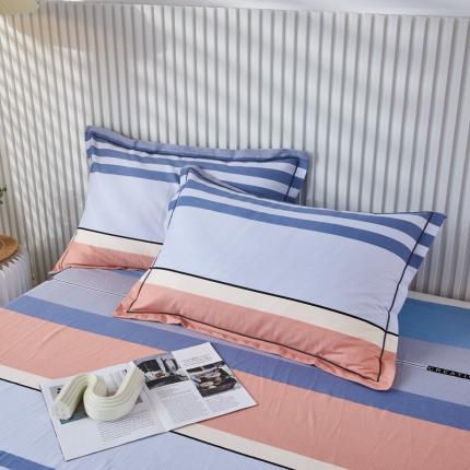 杜先生 新款全棉加厚喷气活性磨毛系列单枕套一对轻松一刻桔