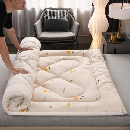 91家纺网 家纺一手货源 找家纺 （总）富威堡家纺2023新款亲肤棉印花床垫