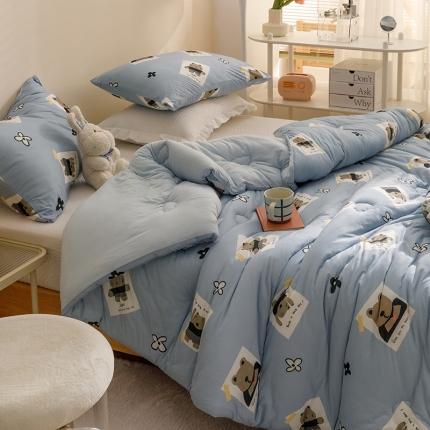 91家纺网 家纺一手货源 找家纺 （总）有货 2022新款秋冬益生菌豆奶被被子冬被春秋被