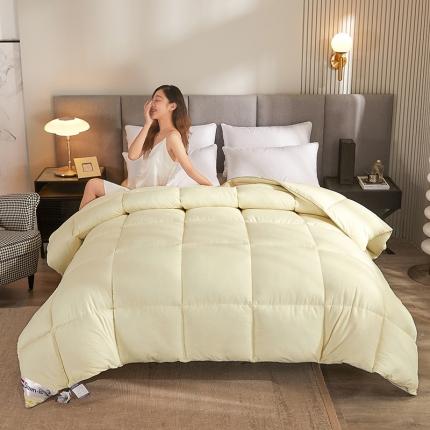 91家纺网 家纺一手货源 找家纺 （总）易展 2023新款纯棉防羽布羽丝绒被冬被子被芯春秋被