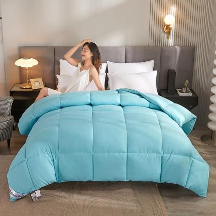 91家纺网 家纺一手货源 找家纺 （总）易展 2023新款纯棉防羽布羽丝绒被冬被子被芯春秋被