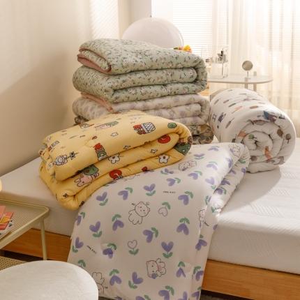 （总）有货 2022新款秋冬益生菌豆奶被被子冬被春秋被