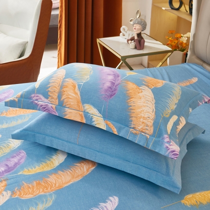 91家纺网 家纺一手货源 找家纺 （总1）安逸家纺 新款全棉枕套加厚生态磨毛学生单枕套一对