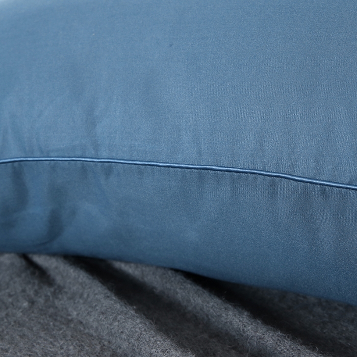 91家纺网 家纺一手货源 找家纺 天意美枕芯  2022新款磨毛亲肤枕 蓝色