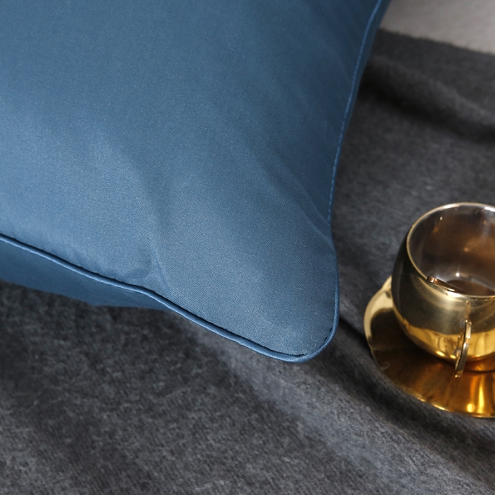 91家纺网 家纺一手货源 找家纺 天意美枕芯  2022新款磨毛亲肤枕 蓝色