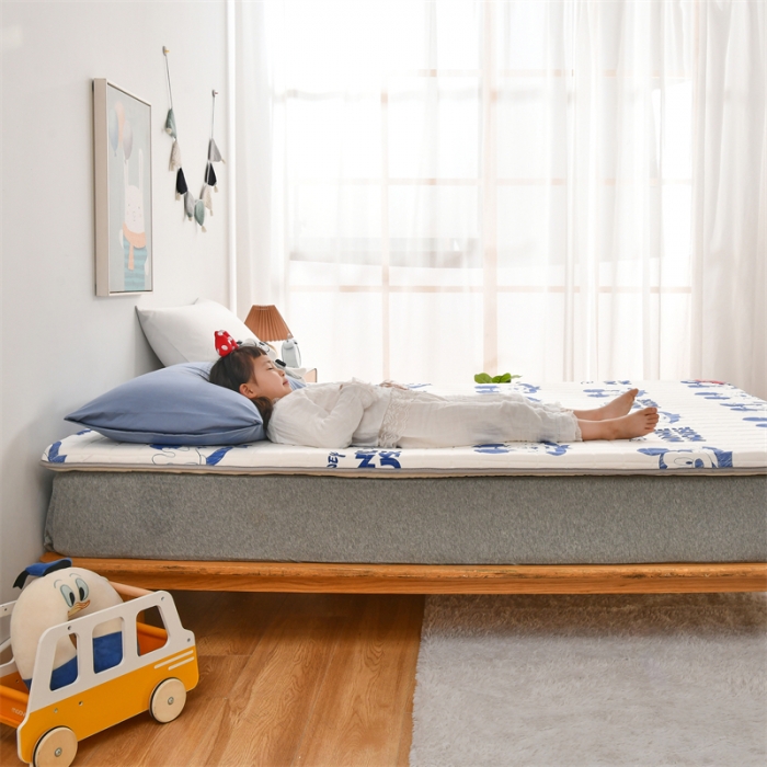 91家纺网 家纺一手货源 找家纺 鑫钰 2023新款全棉印花迪士尼床垫 蓝奇