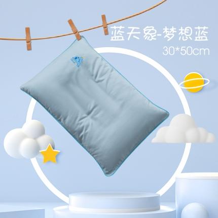 91家纺网 家纺一手货源 找家纺 (总)姝辰 2025新款全棉100支澳棉纯色精致刺绣儿童枕套