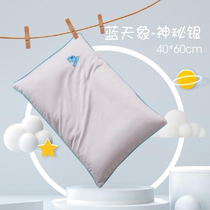 91家纺网 家纺一手货源 找家纺 (总)姝辰 2025新款全棉100支澳棉纯色精致刺绣儿童枕套